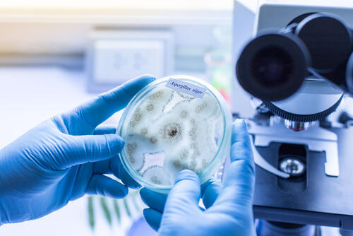 Фото: shutterstock