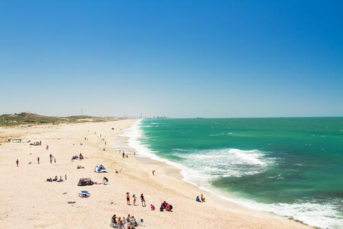 Фото: shutterstock