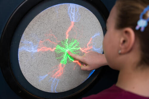 Фото: shutterstock