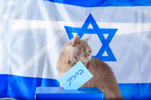 Надпись на иврите: "Я выбрал". Фото: shutterstock