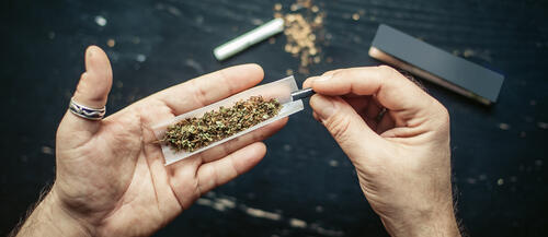 Фото: shutterstock