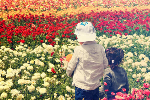 Фото: shutterstock
