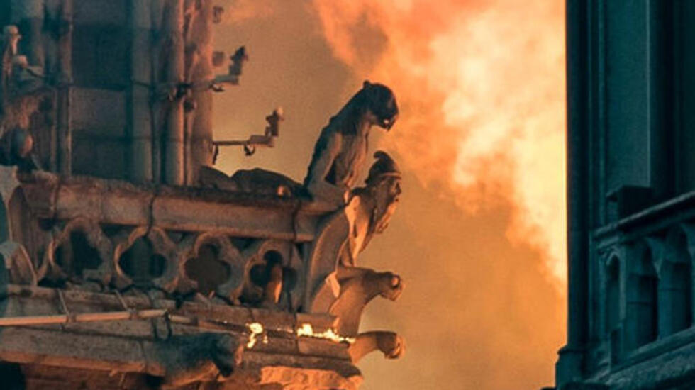 Химеры собора Парижской Богоматери. Фото: AFP