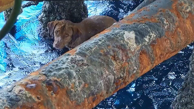 Бунрод на нижнем уровне нефтяной станции