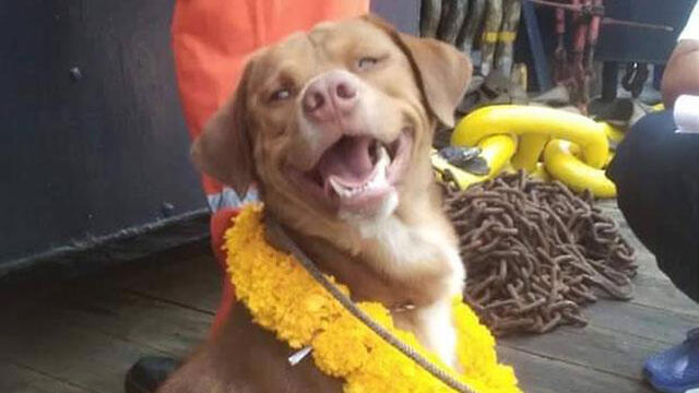 Бунрод выжил - несмотря на расстояние и глубину