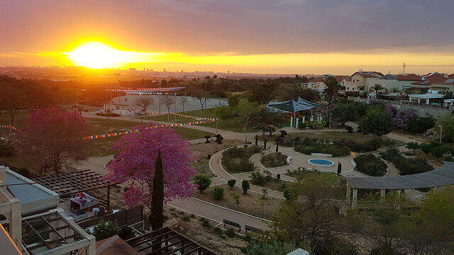 Эльад. Фото: Хани