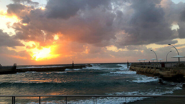 Тель-Авив. Фото: доктор Фрич Моше