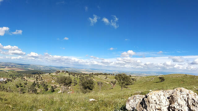 Пейзаж Гиват-ха-море. Фото: Хагар Шумович (צילום: הגר שומוביץ ) Пейзаж Гиват-ха-море. Фото: Хагар Шумович