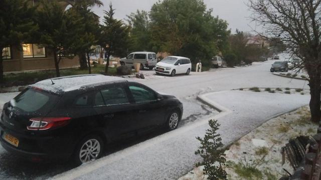 Снег в Алоней-Башан на Голанских высотах. Фото: Иска Декель (צילום: יסכה דקל) Снег в Алоней-Башан на Голанских высотах. Фото: Иска Декель