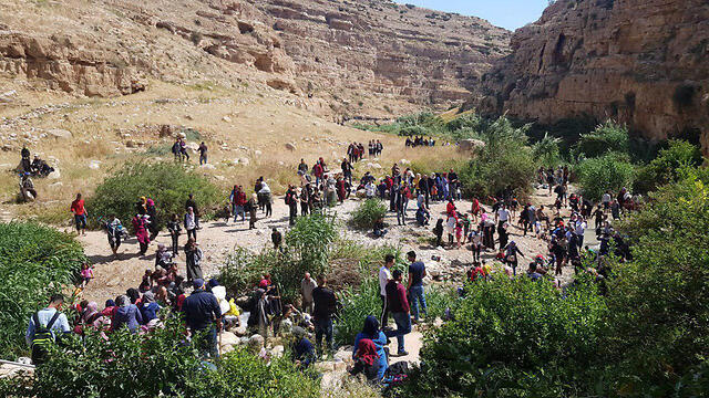 Нахаль-Порат. Фото: пресс-служба Управления национальных парков