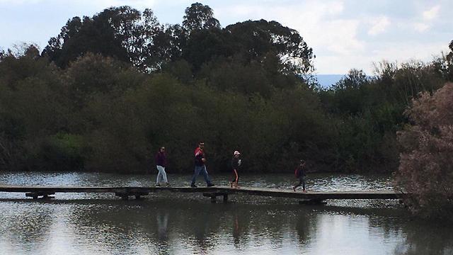 Эйн-Афек. Фото: пресс-служба Управления национальных парков