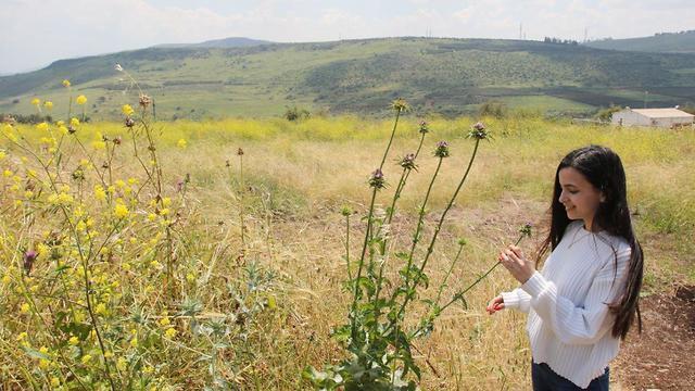 Мошав Ливаним. Фото: Ави Муалем
