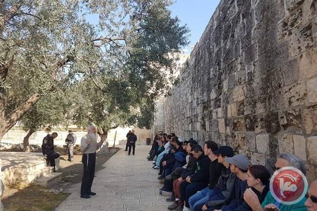 Вот так выглядит "штурм". Фото: MAAN