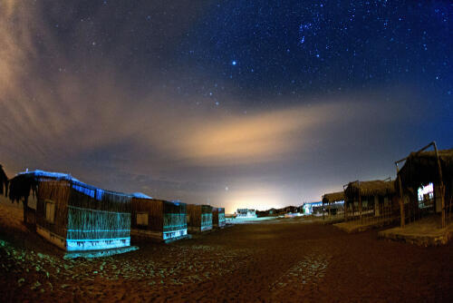 Фото: shutterstock