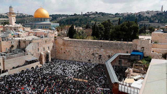 Вид на Храмовую гору. Фото: AFP (צילום: AFP) Вид на Храмовую гору. Фото: AFP