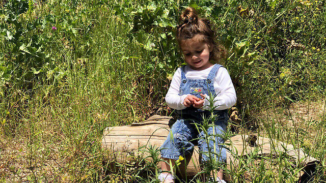 Фото: Дор Эдот