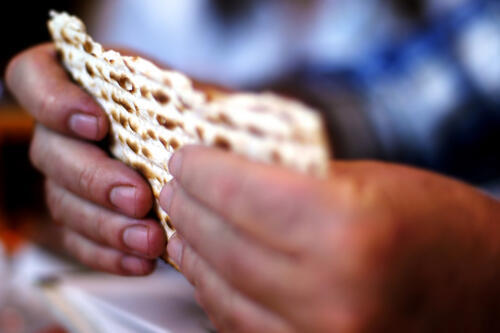 Фото: shutterstock