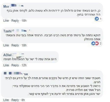 חיפושיות שחורות פוסט