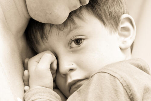 Фото: shutterstock (Фото: shutterstock) Фото: shutterstock