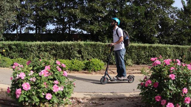 В Cдероте возвращаются к мирной жизни. Фото: Гиль Нехуштан (צילום: גיל נחושתן) В Cдероте возвращаются к мирной жизни. Фото: Гиль Нехуштан