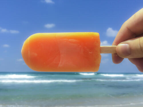 Фото: shutterstock