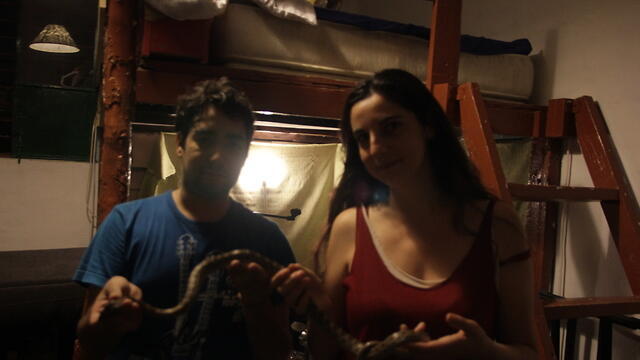 Змея, пойманная в квартире Эфрат Кольберг