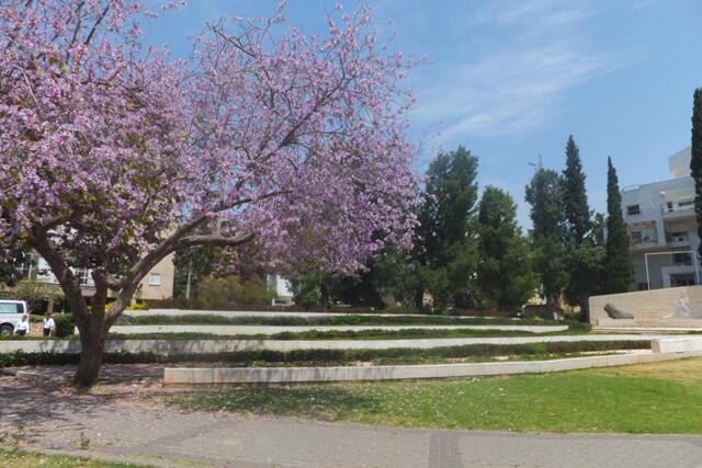 Парк Ган ха-Магиним в Реховоте