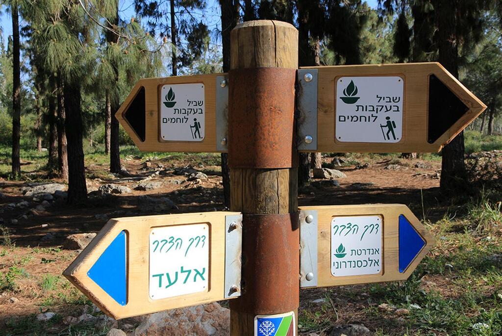 Фото: пресс-служба ККЛ