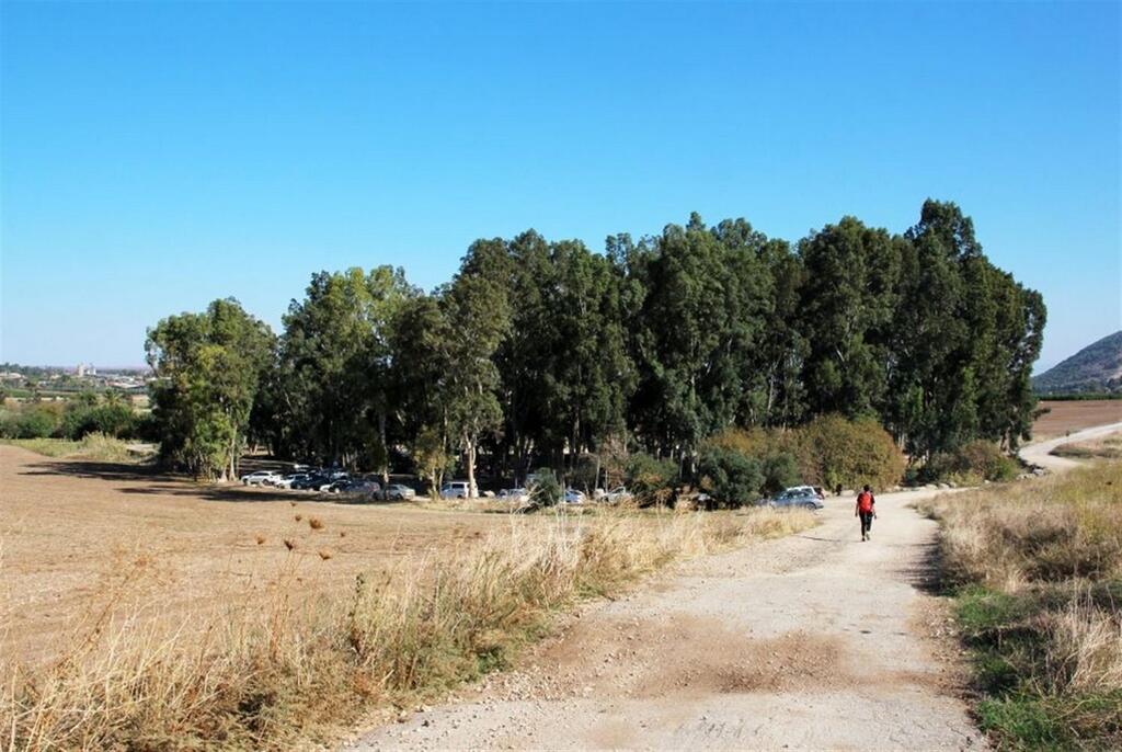 Фото: пресс-служба ККЛ