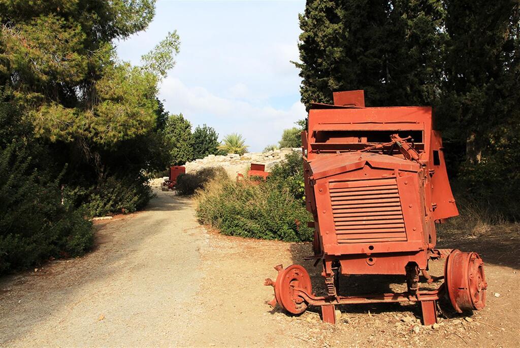 Фото: пресс-служба ККЛ