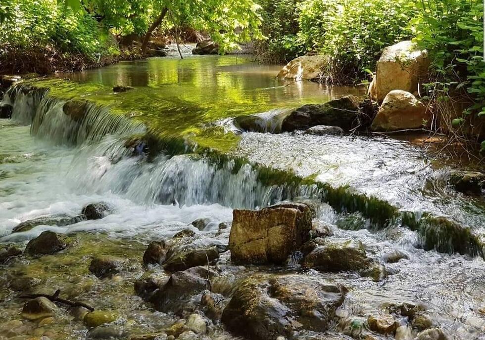 Ручей Кзив. Фото: "Оцрот ха-Галиль"