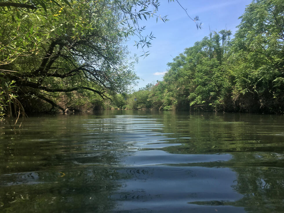 В заповеднике Маджрасе. Фото: Гилад Кармели