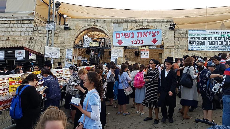 Meron (צילום: אלי מנדלבאום) Meron