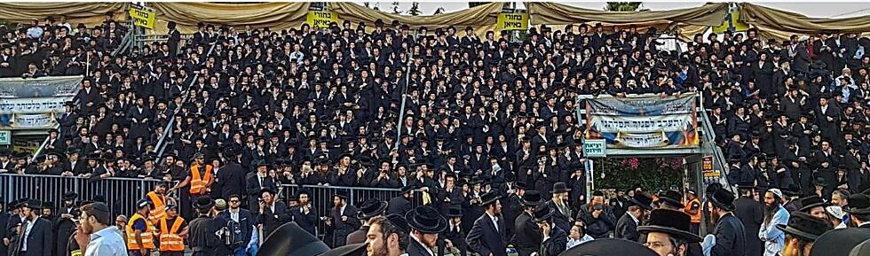 צילום: אלי מנדלבאום