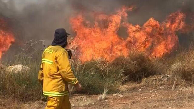 Пожар в районе Эльада. Фото: Cлужба пожарной охраны