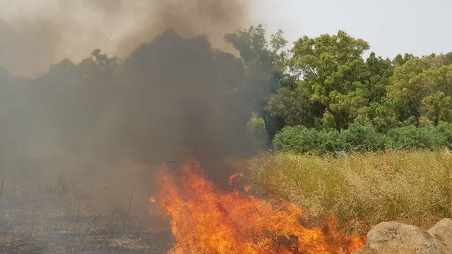Пожар в районе поселка Урия. Фото: Служба пожарной охраны