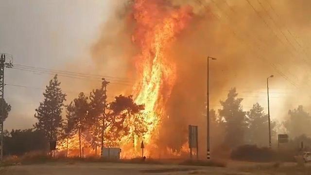 Ben Shemen fire