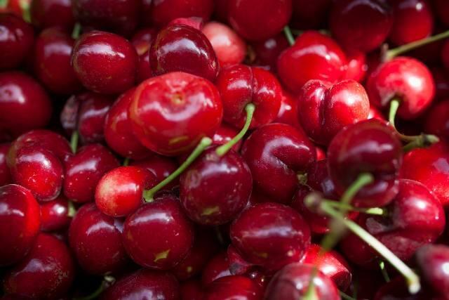 Фото: пресс-служба Ятира