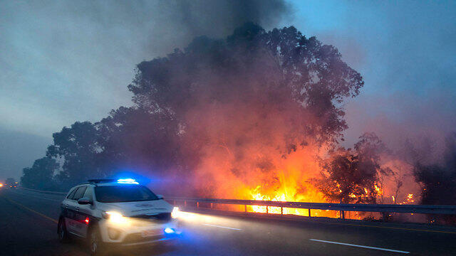 In the area of Harel (צילום: EPA ) In the area of Harel