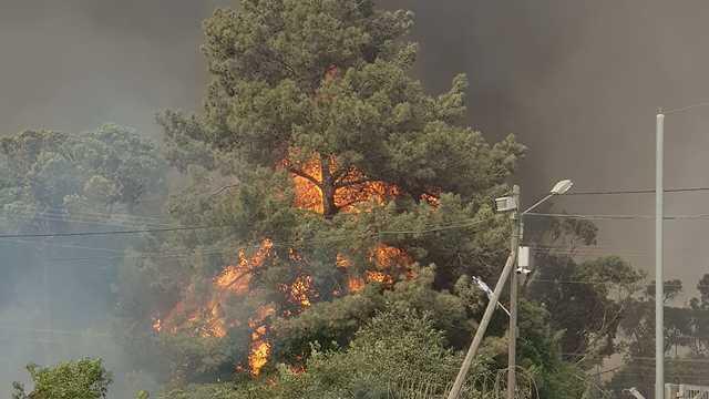 Massive blaze in Mevo Modi'im (צילום: כבאות והצלה מחוז מרכז) Massive blaze in Mevo Modi'im