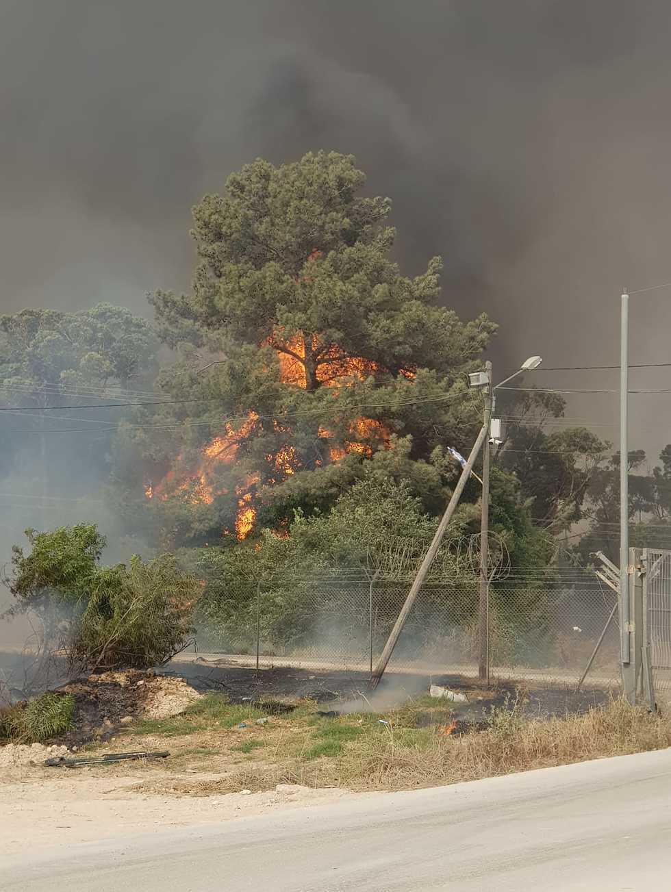 Пожар в Маво-Модиим. Фото: пресс-служба пожарной охраны (צילום: כבאות והצלה מחוז מרכז) Пожар в Маво-Модиим. Фото: пресс-служба пожарной охраны