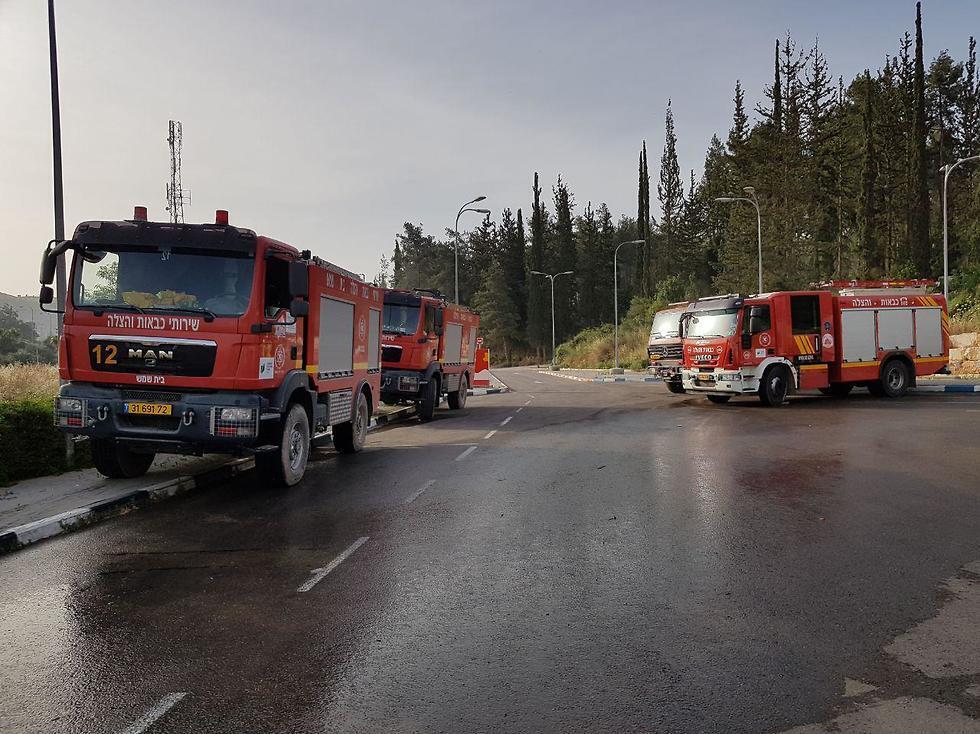 Пожарные в кибуце Харэль. Фото: Эли Мандельбаум (צילום: אלי מנדלבאום ) Пожарные в кибуце Харэль. Фото: Эли Мандельбаум