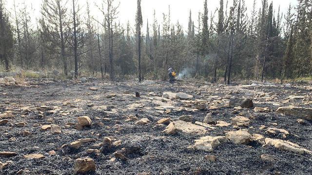 Пожар в Мево-Модиим. Фото: AFP (צילום: אלעד גבע) Пожар в Мево-Модиим. Фото: AFP