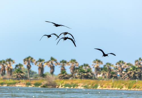 Кибуц Мааган-Михаэль. Фото: shutterstock