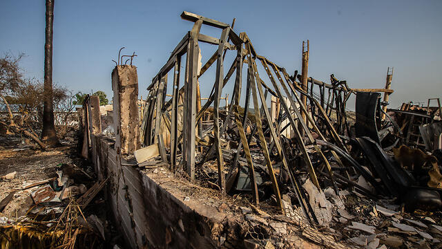 Damage from bushfire in Kibbutz Harel (צילום: טל שחר) Damage from bushfire in Kibbutz Harel
