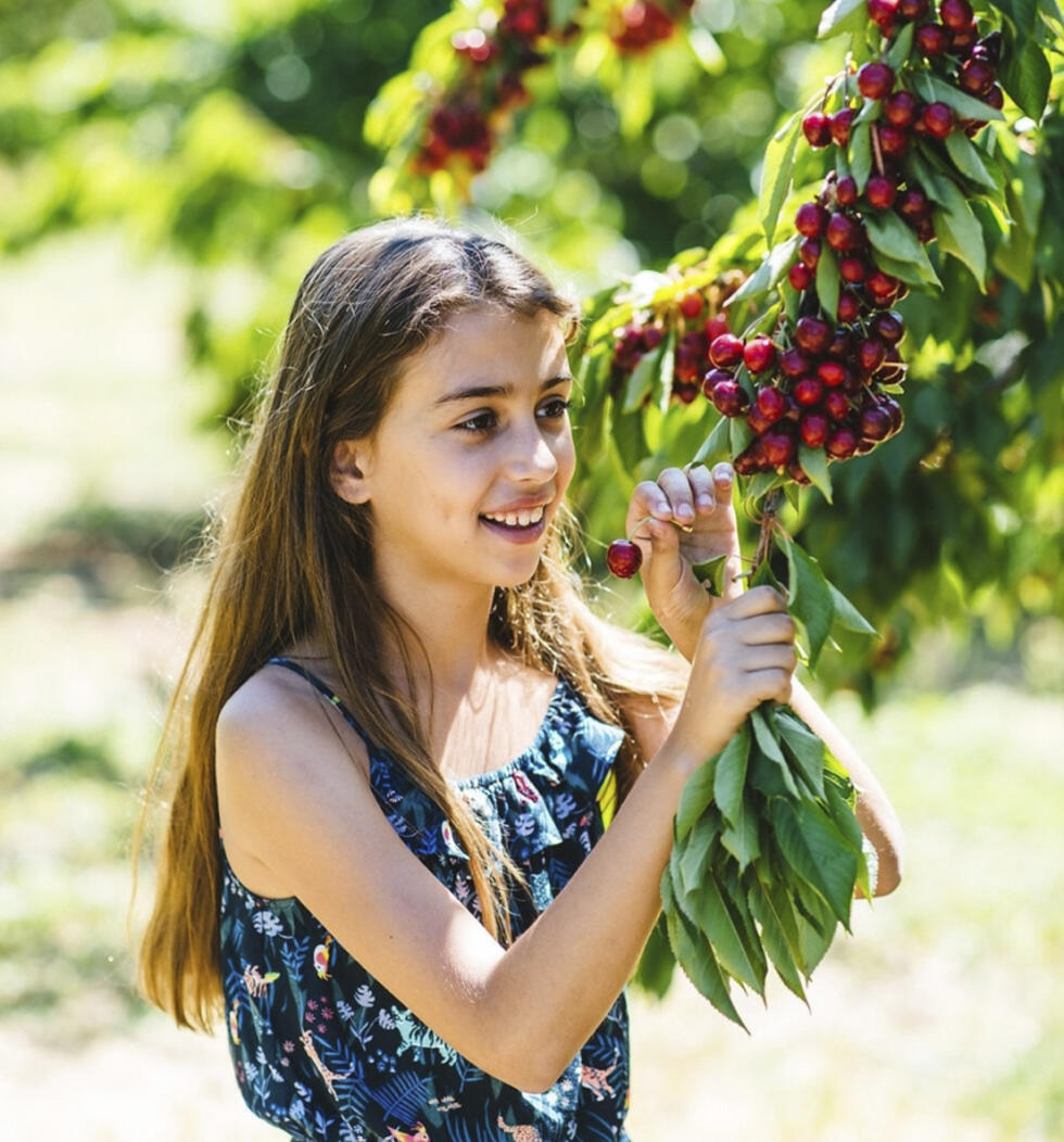 Фото :Ади Перец 