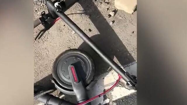 Руль - отдельно, доска - отдельно. Самокат Майи Вайсманnullnull Руль - отдельно, доска - отдельно. Самокат Майи Вайсман