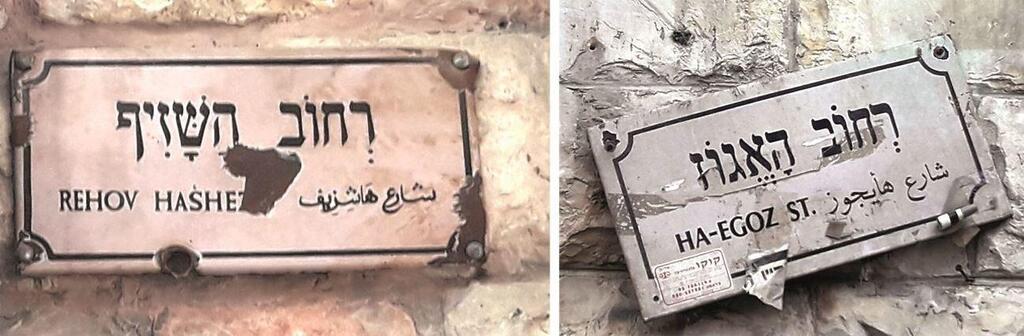 צילום מתוך דו"ח מבקר המדינה