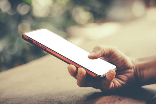 Фото: shutterstock (Фото: shutterstock) Фото: shutterstock