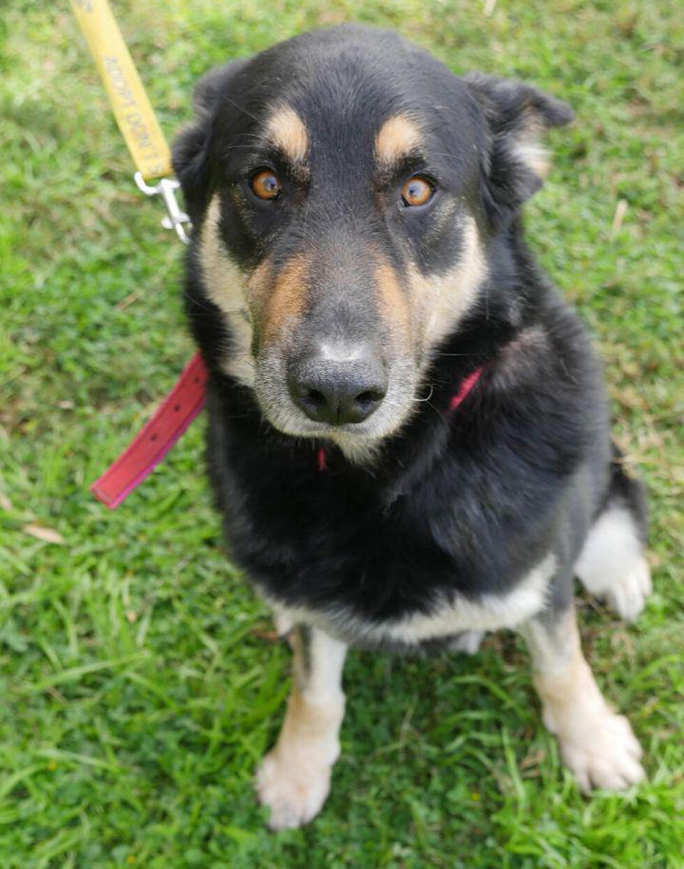 Роки. Фото: "Тну ле-хайот лихъот" (Фото: тну ле-хайот лихьот) Роки. Фото: "Тну ле-хайот лихъот"